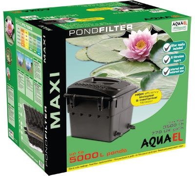 pond_maxi-1