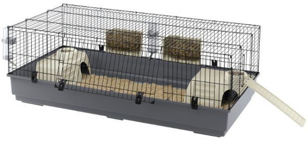 rabbit_140_1-1-600x275