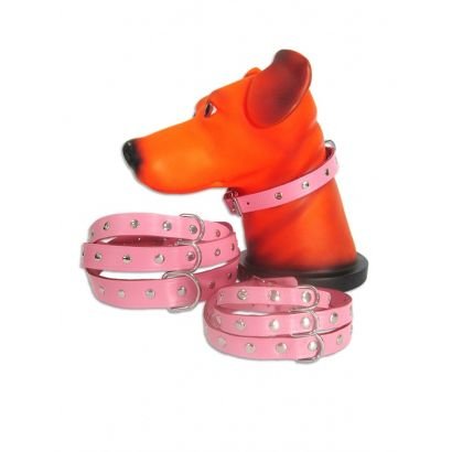 ZGARDA_PET_EXPERT_CAPSE_10x27cm_ROZ_NR.0-410x410h