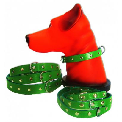ZGARDA_PET_EXPERT_CAPSE_10x27cm_VERDE_NR.0-410x410h