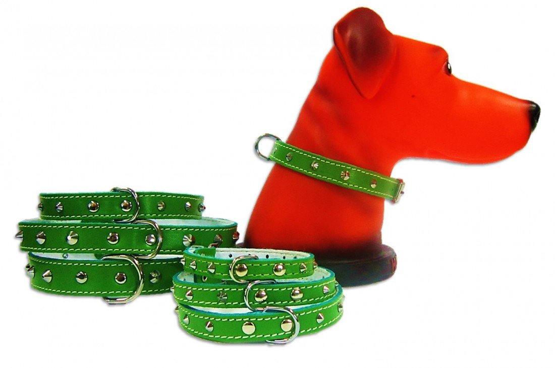 ZGARDA_PET_EXPERT_PASLATINTE