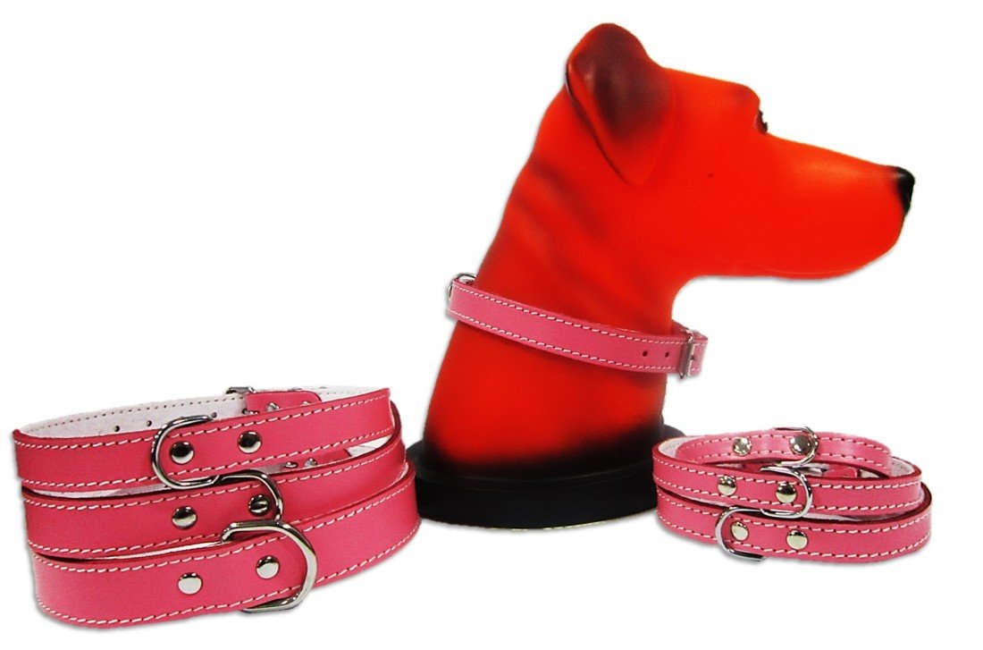 ZGARDA_PET_EXPERT_PASLA_10x27cm_ROZ_NR.0-1100x727