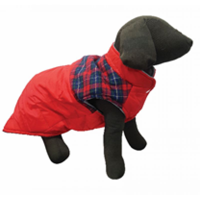 PET_EXPERT_HAINA_CAINE_SCOTISH_RED_M_31_CM_X16082-800x800w