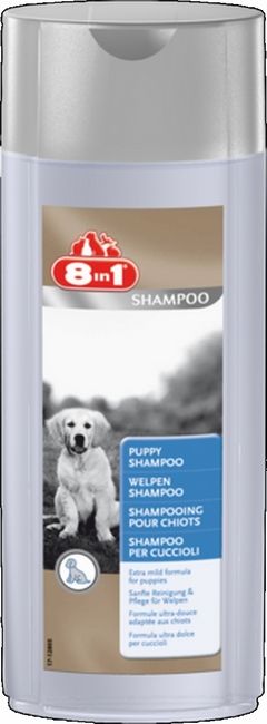 puppy
