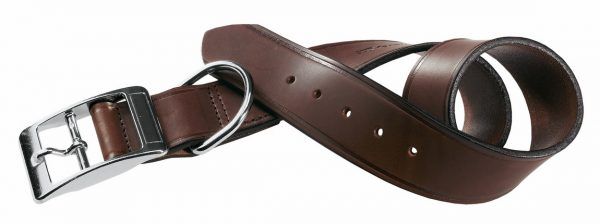 zgarda-vip-2-600x224