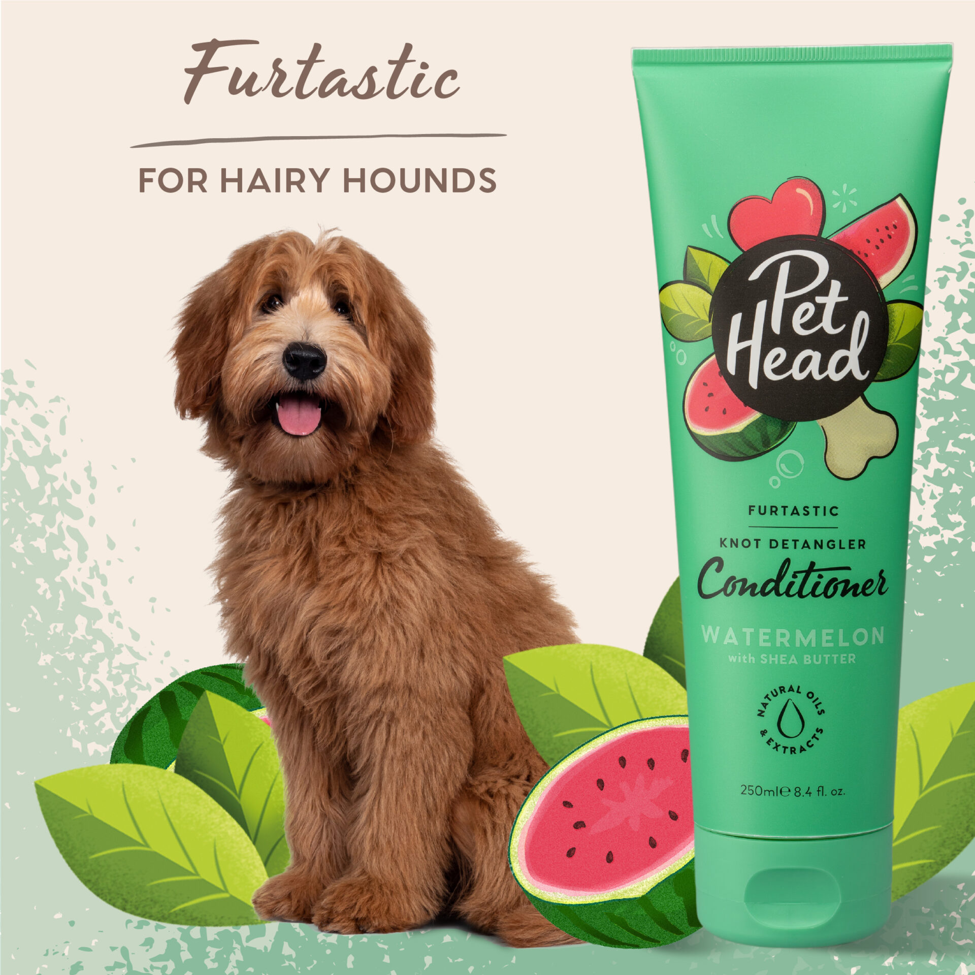 FT_Board3_Conditioner-01