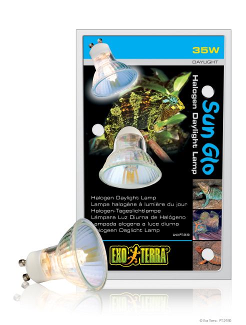 pt2180_sun_glo_halogen_spot_set-1